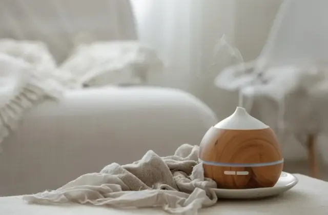 Perbedaan Air Purifier dan Humidifier untuk Kesehatan