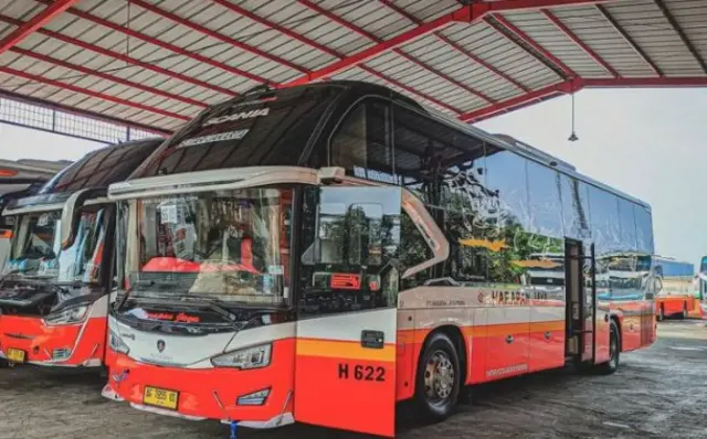 Canggihnya Sasis Premium Scania K 360 IB, Dipakai PO Gunung Harta dan Harapan Jaya