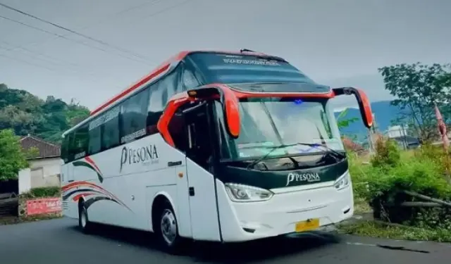 Tak Cuma di Mobil Mewah, Panoramic Sunroof Sekarang juga Ada di PO Pesona