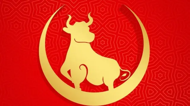 Tabel Shio 2023: Ramalan Shio Kerbau Hari ini, Peruntungan Angka Shio dari Prediksi Data Shio Sabtu, 21 Oktober 2023