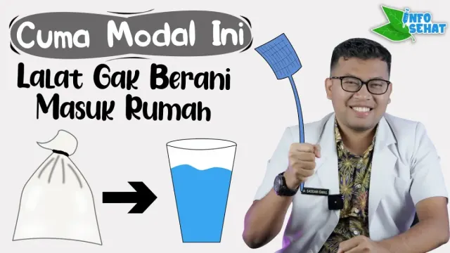 Cara Efektif dan Alami Usir Lalat di Rumah, Auto Lalat Nggak Betah dan Ogah Balik Lagi ke Rumah