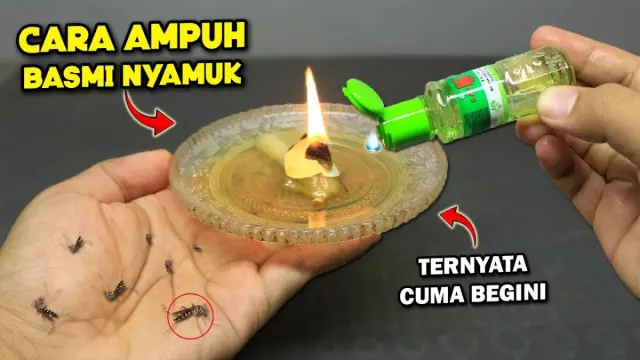 Ternyata Cara Mengusir Nyamuk Cuma Pakai Bahan-bahan ini Saja, Rumah Selamanya Aman dari Nyamuk, Caranya Mudah Banget!