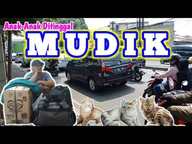 Tips Meninggalkan Kucing Sendirian di Rumah Saat Kamu Pulang Mudik, Dijamin Anabul Nyaman dan Aman Selama Kamu Pergi