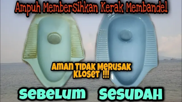 Modal 2 Ribu Perak dan Batu, Kerak Kloset yang Membandel Bisa Rontok. Kloset Kinclong Seperti Baru, Tips Membersihkan Kloset Paling Ampuh