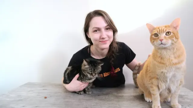 10 Hal yang Harus Kamu Ketahui Soal Kucing, Info Wajib yang Harus Kamu Tahu Sebelum Memelihara Kucing, Supaya Nggak Salah Rawat
