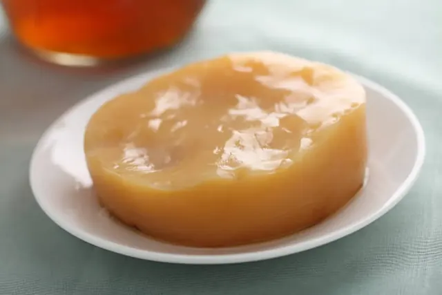Mengenal Mother Scoby Pada Kombucha