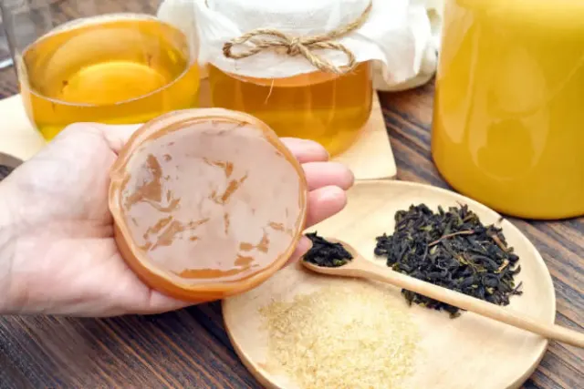 Manfaat Kombucha Untuk Kecantikan dari Dalam