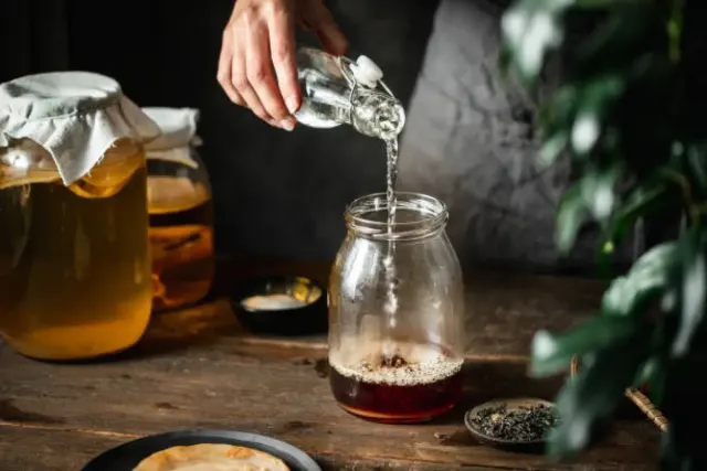 Cara Konsumsi Kombucha yang Baik dan Benar Jangan Asal ya!