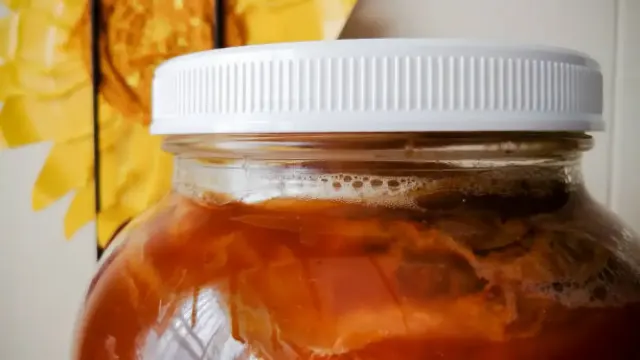Berikut Dampak Buruk Konsumsi Kombucha Secara Belebihan