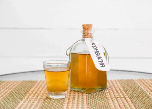 Pahami Takaran Untuk Mengkonsumsi Teh Kombucha yang Benar