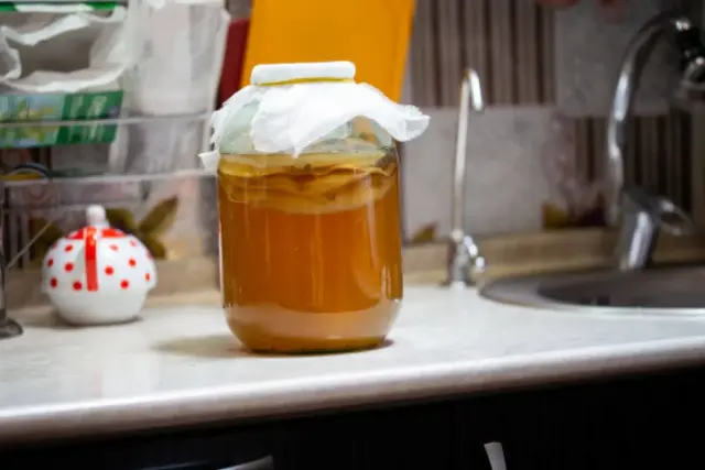 Kelompok Orang yang Sebaiknya Tidak Mengonsumsi Kombucha