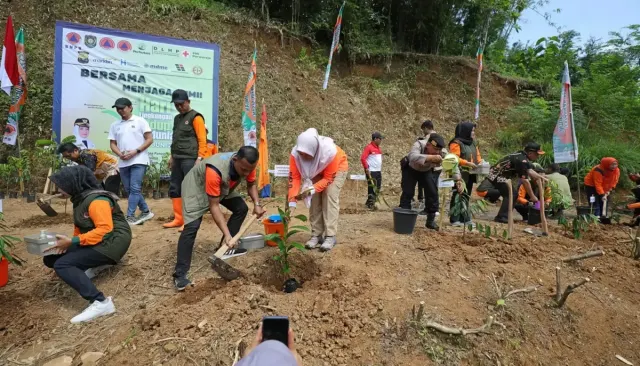 Pemulihan Pascabencana di Purworejo, BNPB Salurkan 5.880 Bibit Pohon. Kepala BNPB: Sesuai Asta Cita Presiden Prabowo
