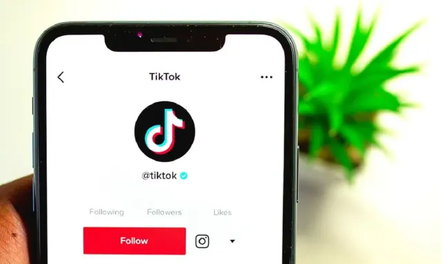 Challenge vs Meme: Mana yang Lebih Cepat Viral di TikTok? Ini Jawabannya