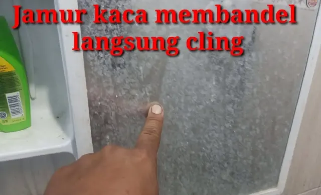Cara Mudah Membersihkan Jamur Kaca. Kaca Langsung Cling, Cuma Pakai Bahan ini Saja