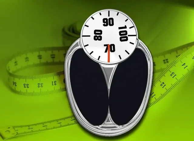 Cara Diet Sehat dengan Pola Makan Tepat: Turun Berat Badan Secara Natural