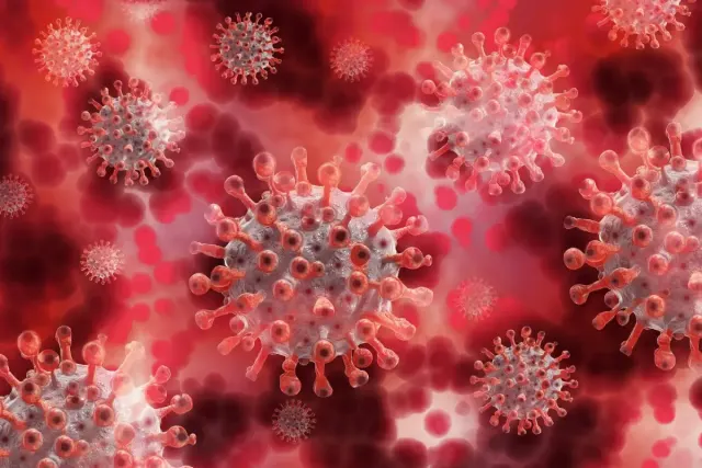 Waspada Virus Nipah, Penyakit Berbahaya yang Masih Jarang Dikenal